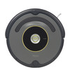 iRobot Roomba 632
