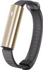 Misfit Ray Polished Gold/Zwart Sport Band