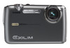 Casio Exilim EX-FS10 Grey