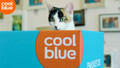 Youtube video of Coolblue Kattenkalender