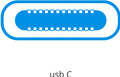 Apple Usb Essential Kit null