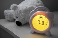 Alecto BC-100 product in gebruik