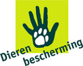 Coolblue Cat Calendar (Dutch) logo