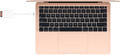 Apple USB-C to SD Card Reader product in use