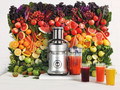 Sage the Nutri Juicer Cold XL visual leverancier