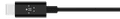 Belkin Rockstar USB-C to 3.5mm Cable Converter 0.9m Black detail