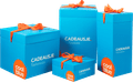 Cadeausje groot (260x260x370) samengesteld product