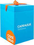 Cadeausje groot (260x260x370) Main Image