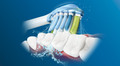 Philips Sonicare Premium Plaque Defense Zwart (8 stuks) product in gebruik