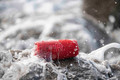 JBL Charge 5 Rood product in gebruik