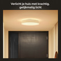 Philips Hue Enrave M plafondlamp White Ambiance Wit + dimmer null