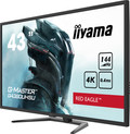 iiyama G-Master G4380UHSU-B1 Red Eagle voorkant