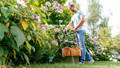Bosch Easygrasscut 23 product in gebruik