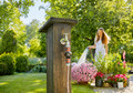 Gardena Watermeter AquaCount E4 product in gebruik