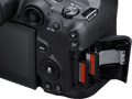 Canon EOS R7 + RF-S 18-150mm f/3.5-6.3 IS STM detail