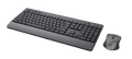 Trust Trezo Comfort Draadloze Toetsenbord- en Muisset Azerty null