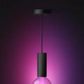 Philips Hue Lightguide koord - zwart - E27 product in gebruik