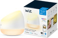 WiZ Squire Table Lamp - Colored and White Light packaging