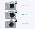 Canon RF-S 18-150mm f/3.5-6.3 IS STM null