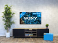 Sony Bravia OLED XR-55A80L (2023) null