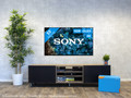 Sony Bravia OLED XR-55A80L (2023) null