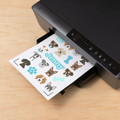 Cricut Waterbestendige Stickerset Holografisch Wit A4 (5 vellen) product in gebruik