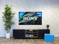 Sony Bravia QD-OLED XR-55A95LAEP (2023) visual Coolblue 1