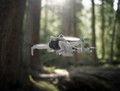 DJI Mini 4 Pro + Remote Controller visual leverancier