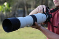 Canon RF 200-800mm f/6.3-9 IS USM product in gebruik