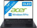 Acer TravelMate P6 14 OLED (TMP614-53-TCO-75GN) (Evo) QWERTY Main Image