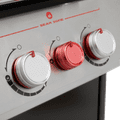 Weber Genesis E-435 detail