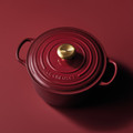 Le Creuset Signature Braadpan 24 cm Rhone visual leverancier