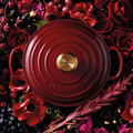 Le Creuset Signature Braadpan 24 cm Rhone visual leverancier