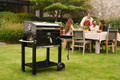 Boretti Carbone 2.0 product in gebruik