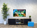 Hisense Mini-led 50U6NQ (2024) visual Coolblue 1