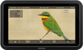 Atomos Shinobi II voorkant