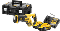 DeWalt DCS367NT-XJ 5.0Ah Battery (2x) Starter Kit Main Image