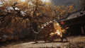 Black Myth: Wukong PS5 product in gebruik