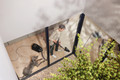 Miele Guard L1 Cat & Dog Obsidiaanzwart product in gebruik