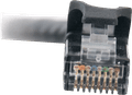 C2G Netwerkkabel CAT6 3 meter detail