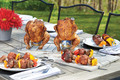 Napoleon Meatloverspakket product in gebruik
