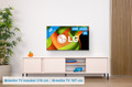 LG 48" OLED B56 4K (2025) visual Coolblue 1
