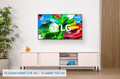 LG 55 inches QNED86 evo 4K (2025) visual Coolblue 1
