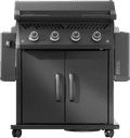 Napoleon Phantom Rogue PRO 30 visual leverancier