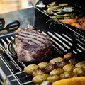 Campingaz Select 4 EXS product in gebruik