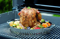 Weber GBS Gevogeltestomer product in gebruik
