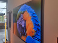 Samsung OLED 55 inches S99H (2026) (Image 2 of 5)
