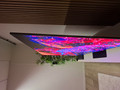 Samsung OLED 77" S95H (2026) (Afbeelding 4 van 4)