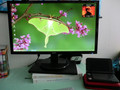 Acer K242HLbd (Afbeelding 1 van 1)