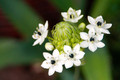 Tamron 18-200mm f&#x2F;3.5-6.3 XR Di II Canon (Afbeelding 4 van 10)